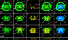 Figure 24