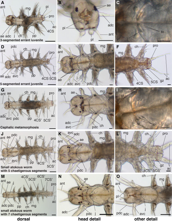 Figure 27