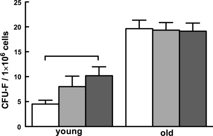 Fig. 4