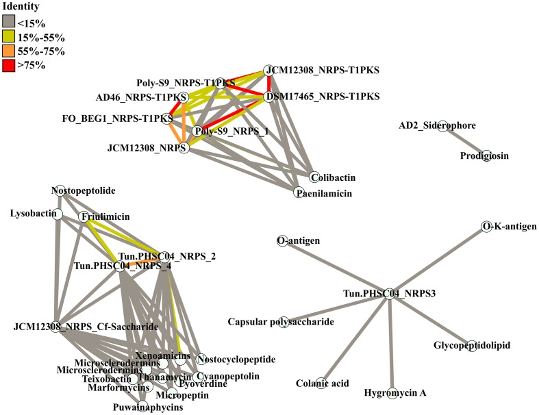 FIGURE 3