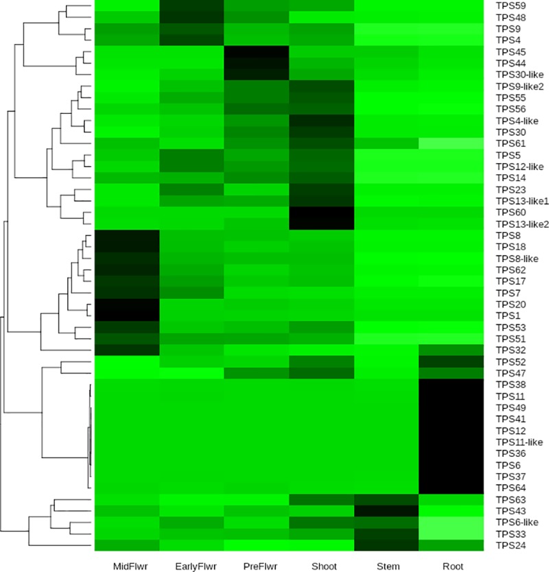 Fig 6