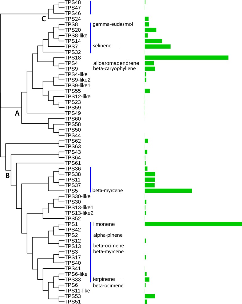 Fig 4