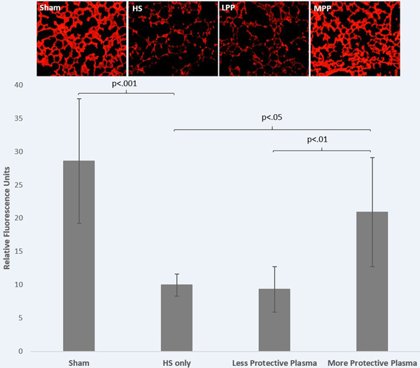 Figure 5: