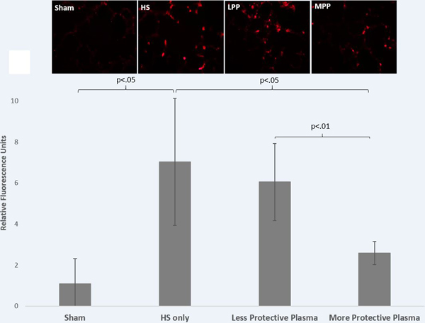 Figure 4: