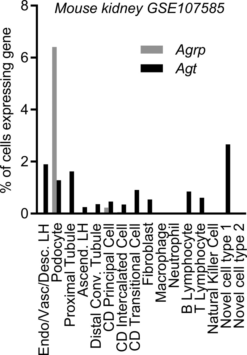 Fig. 10.