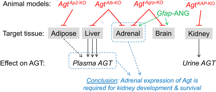 Fig. 11.