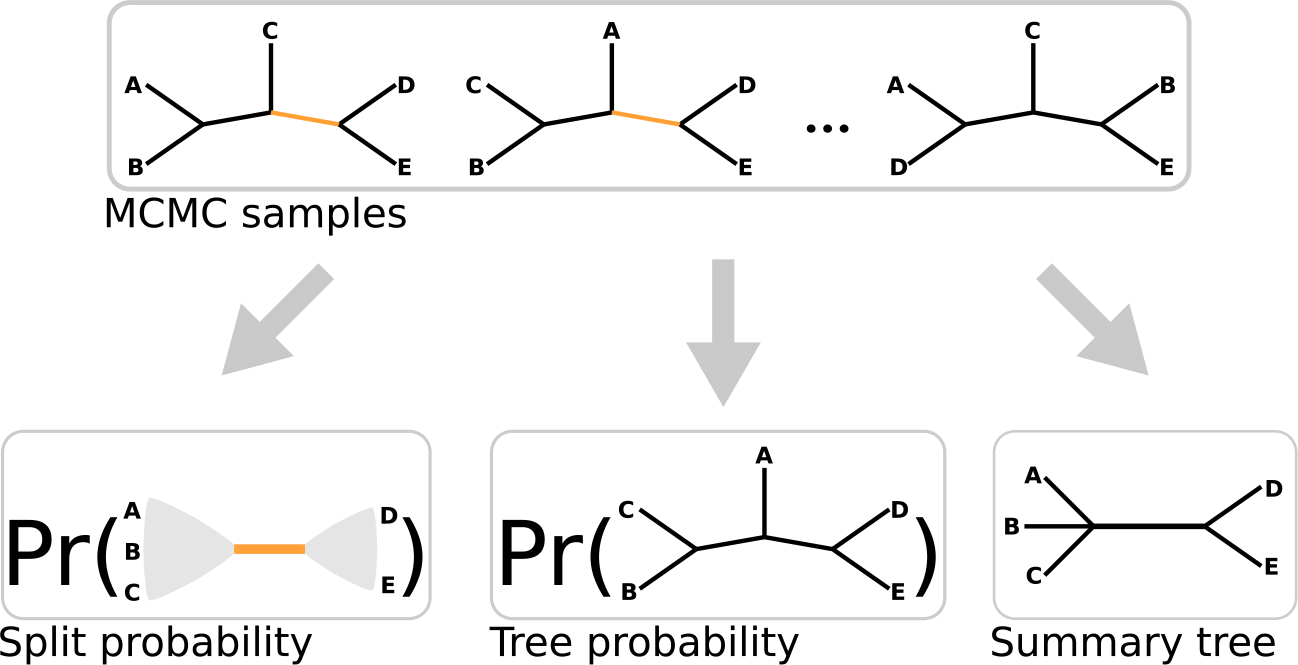 Figure 1: