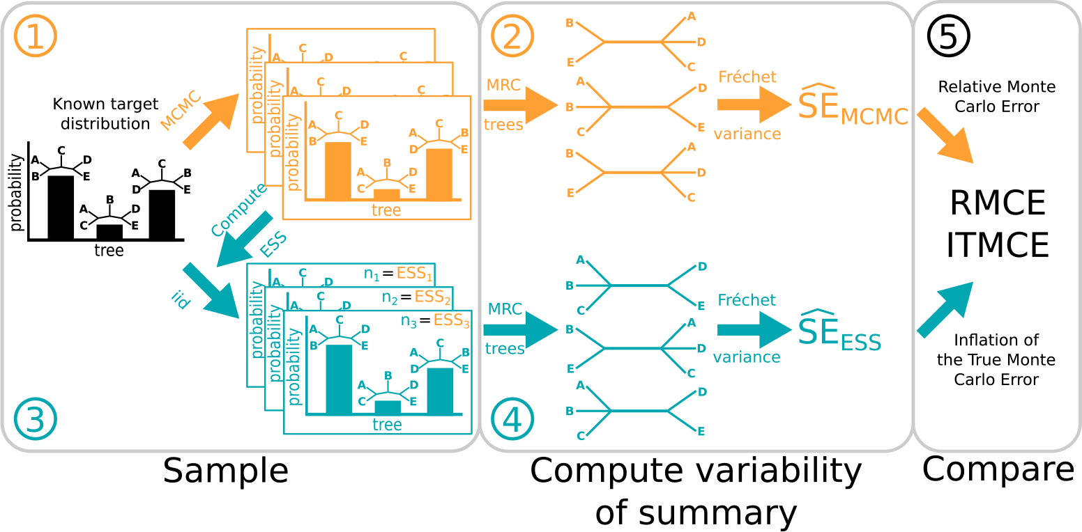 Figure 2: