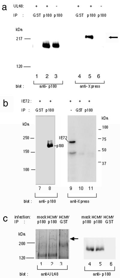 FIG. 7.