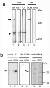 FIG. 6.