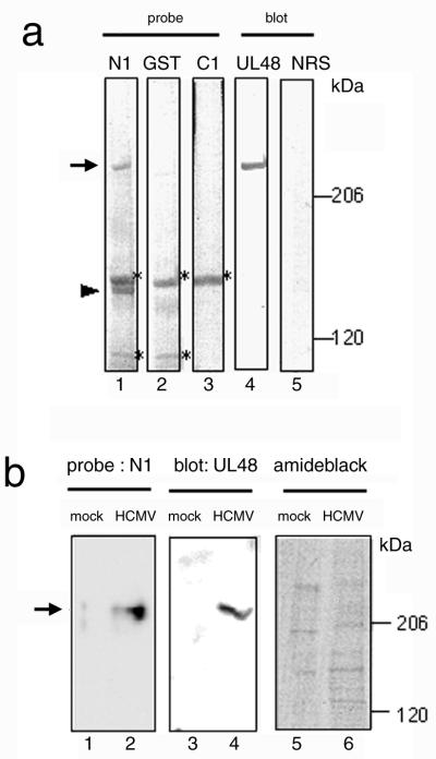 FIG. 6.