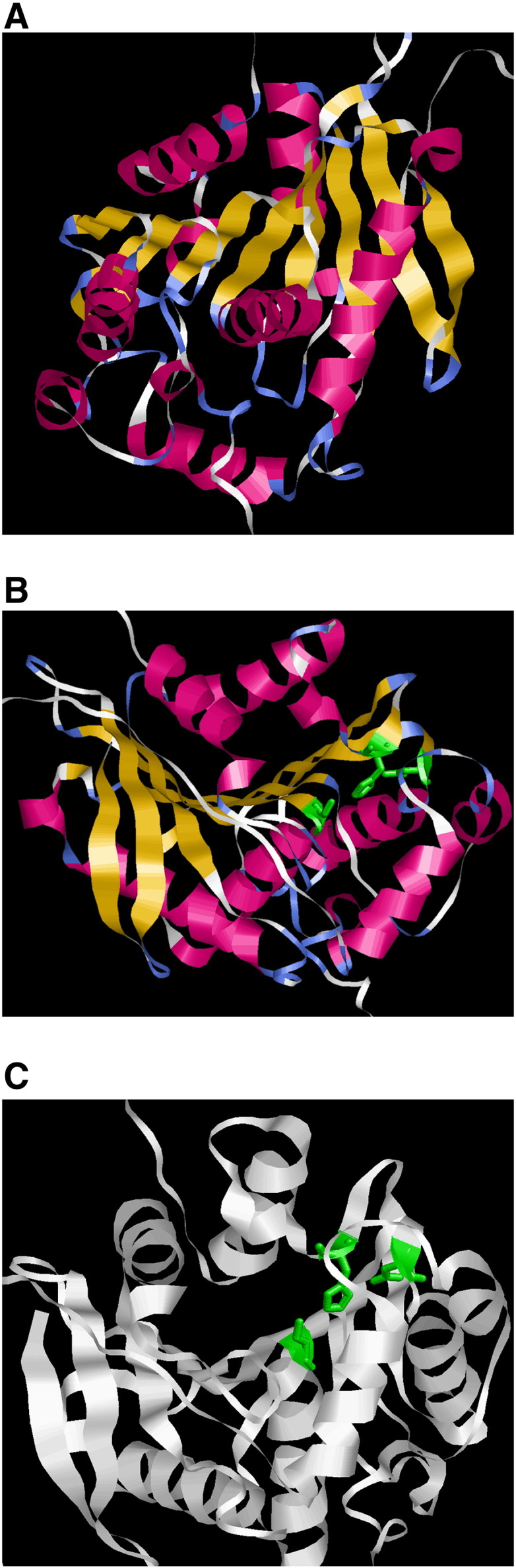 Fig. 4