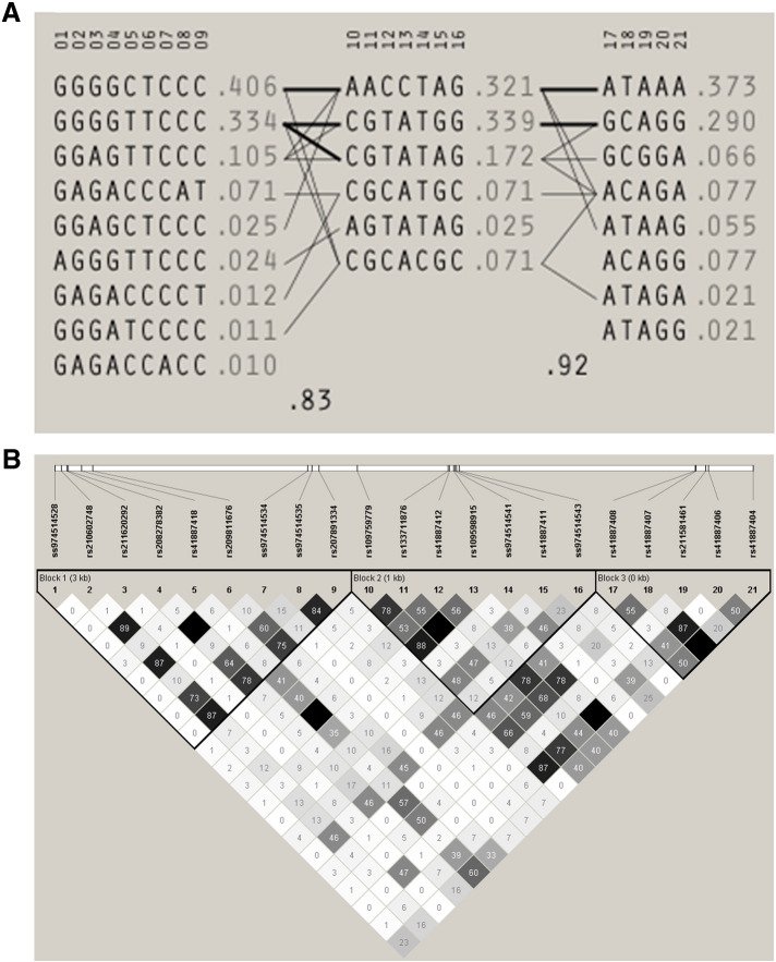 Fig. 3