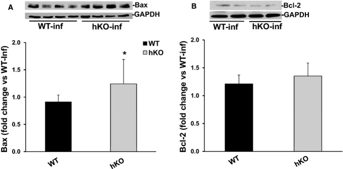 Figure 10.