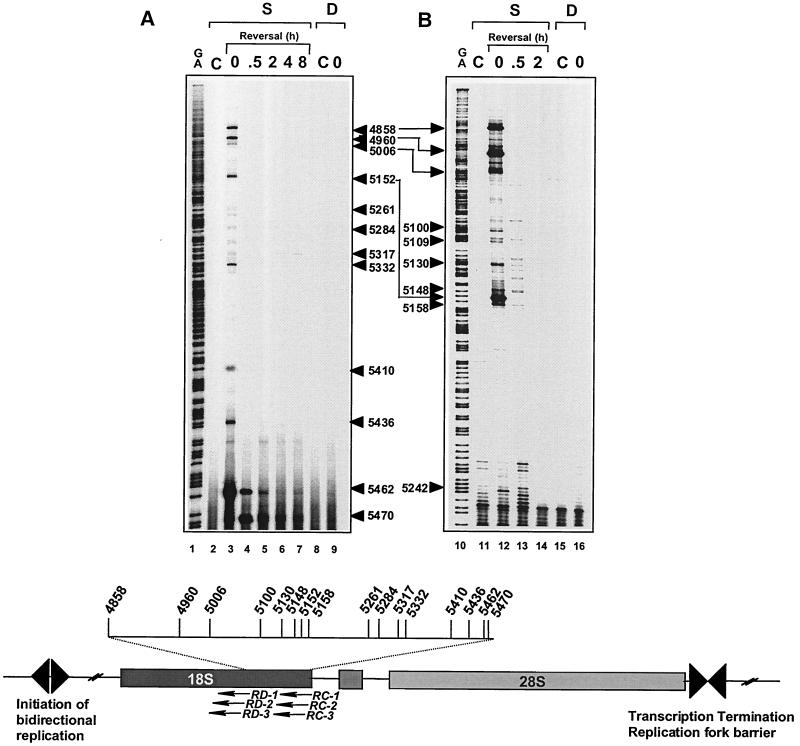 FIG. 6