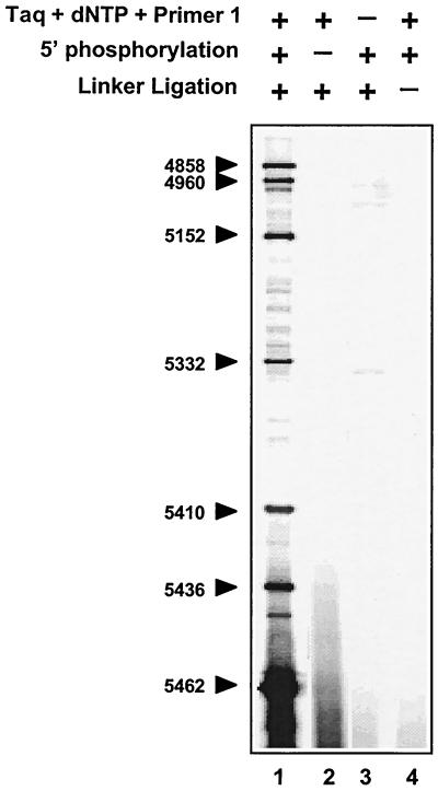 FIG. 8