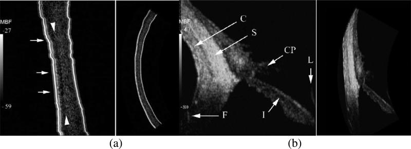 Fig. 20