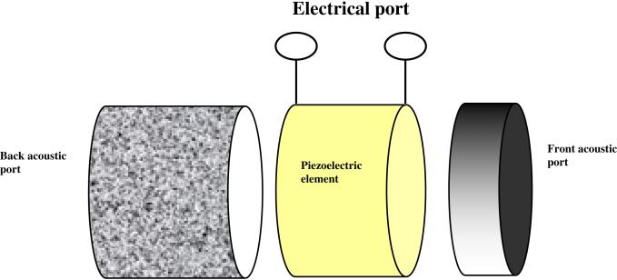 Fig. 1