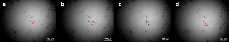 Fig. 28