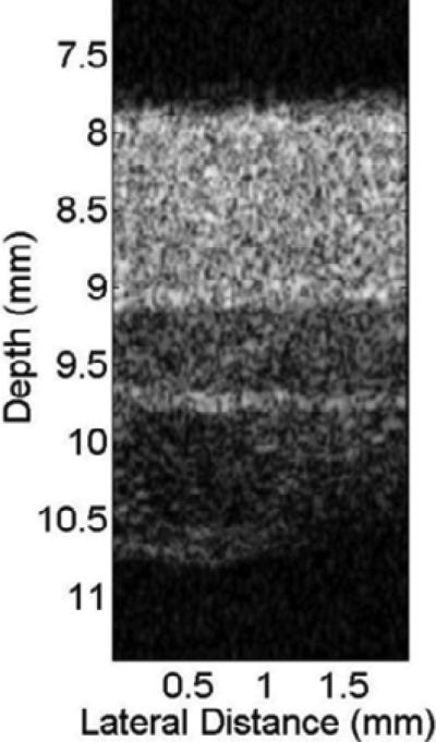 Fig. 22