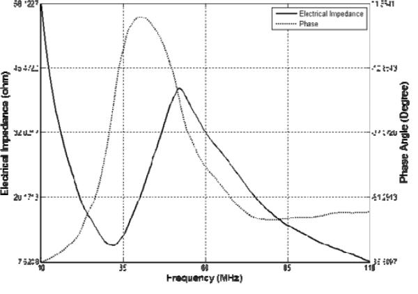 Fig. 9