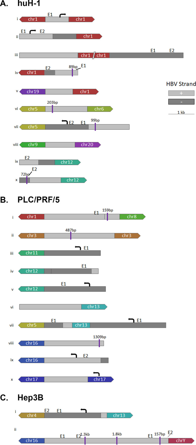 FIG 5