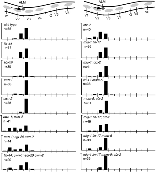 Figure 2.—