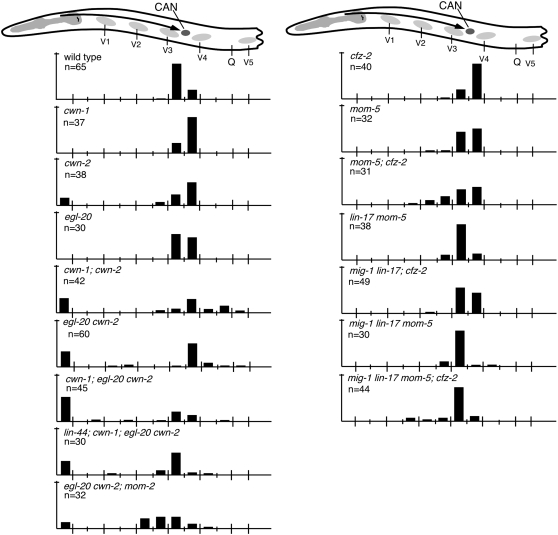 Figure 4.—