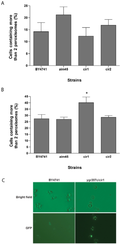 Fig. (4)