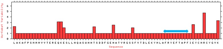 Fig. 10