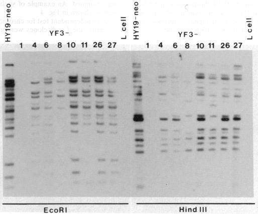 graphic file with name pnas01038-0226-a.jpg