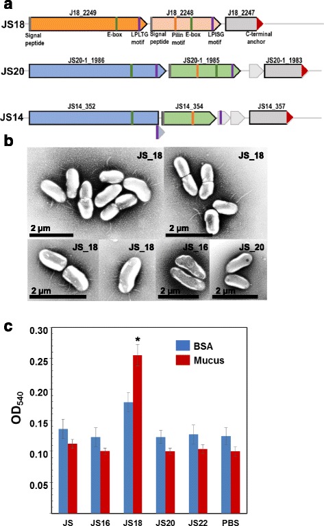 Fig. 9