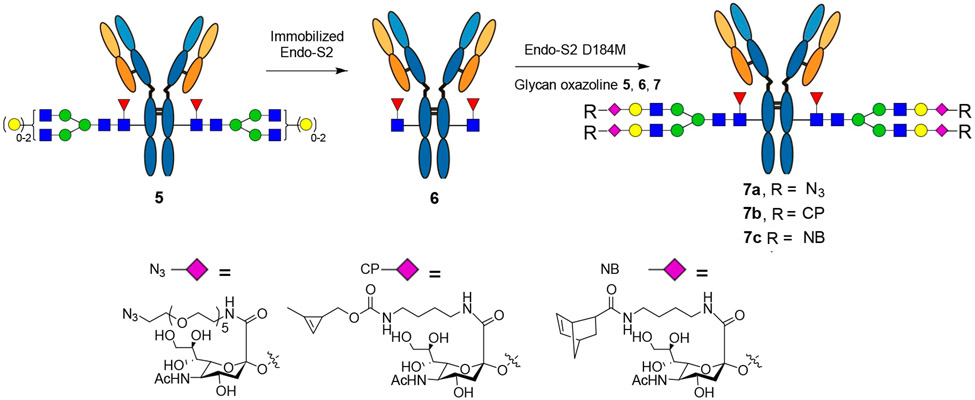 Scheme 3.