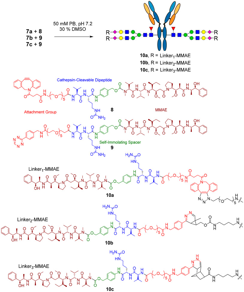 Scheme 4.