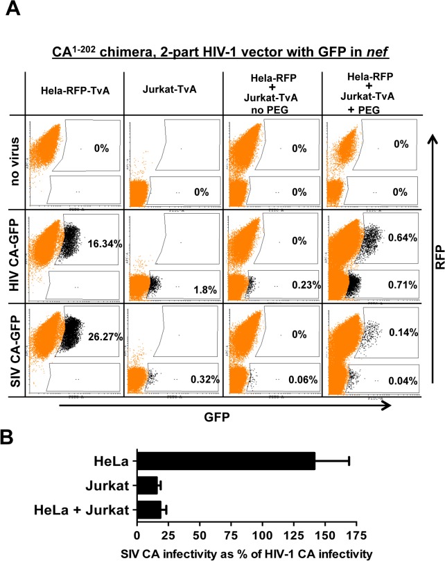 Fig 10