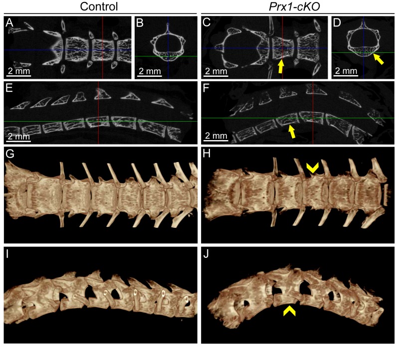 graphic file with name Foster_et_al_Supp_Fig_4_4_4-16.jpg