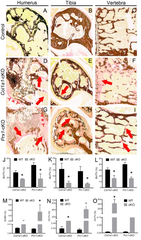 graphic file with name Foster_et_al_Supp_Fig_5_6_27_16.jpg