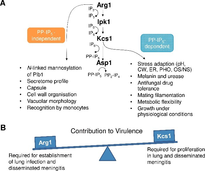 Figure 12.