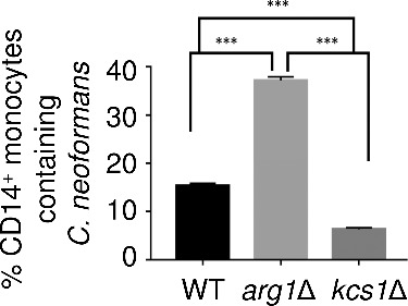 Figure 11.