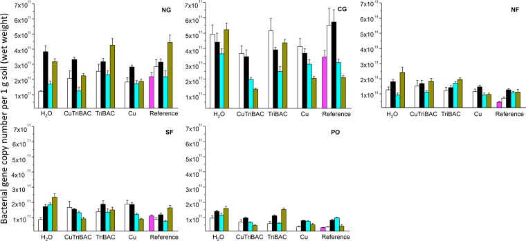 FIG 3