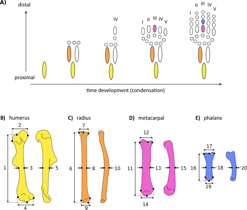 Figure 2.