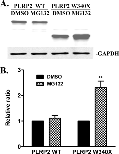 FIGURE 9.