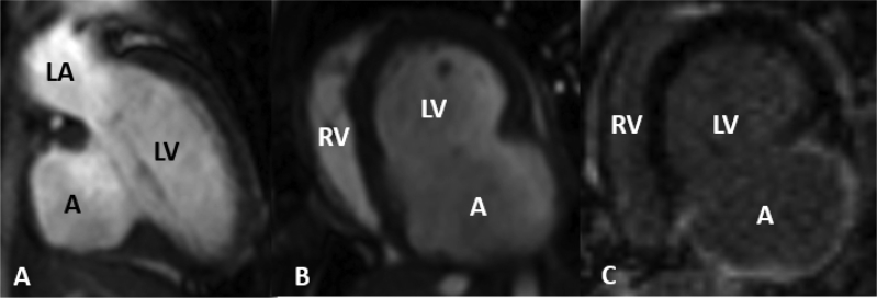 Figure 4