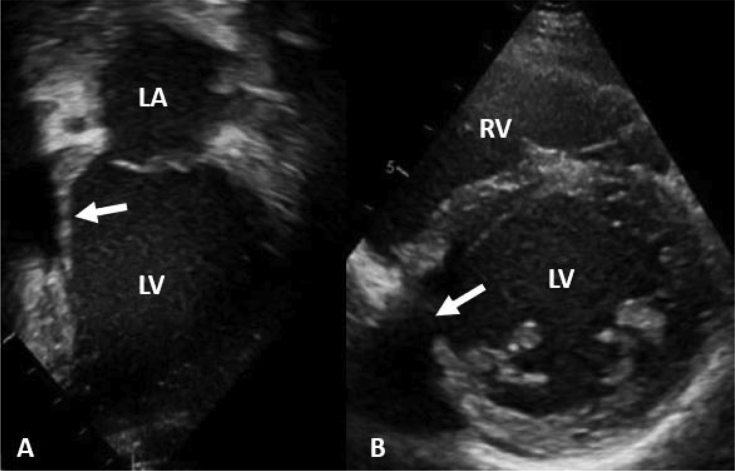 Figure 6