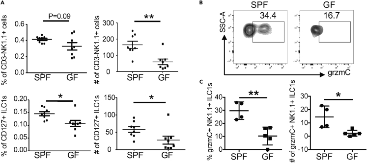 Figure 6