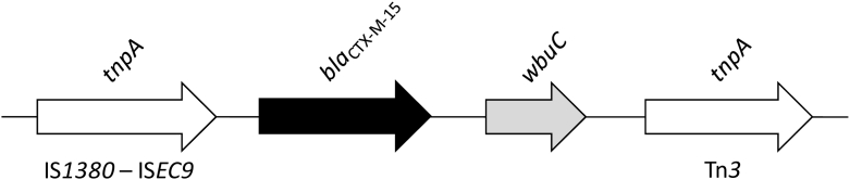 Fig. 2