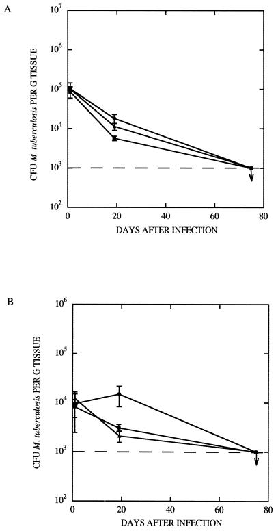 FIG. 5