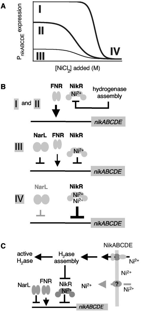 FIG. 5.