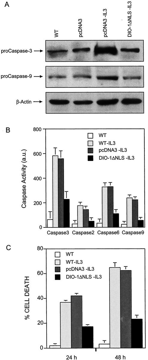 FIG. 6.