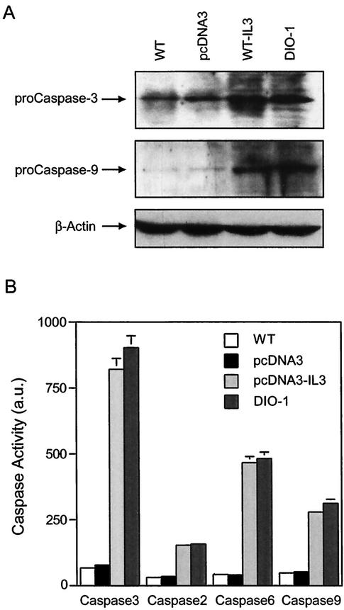 FIG. 5.